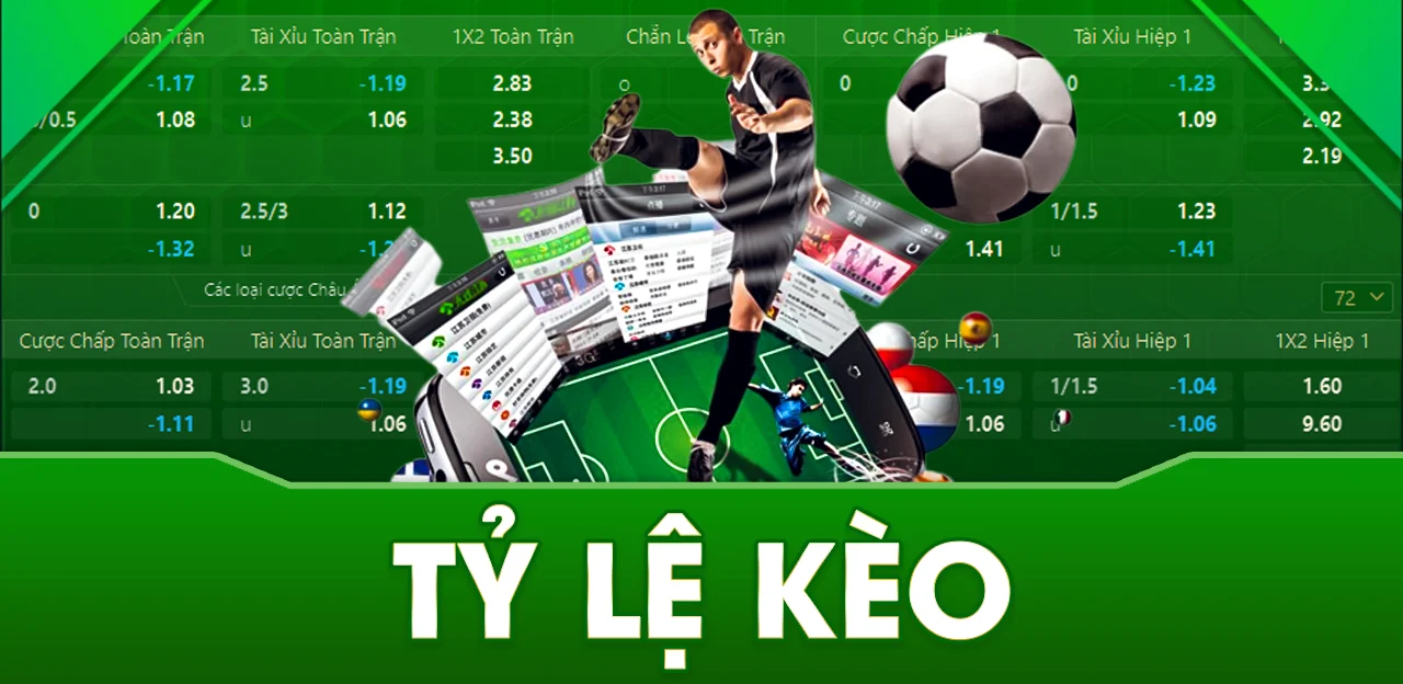 Khám phá thế giới Safari King cùng xibet tuyệt vời hôm nay!